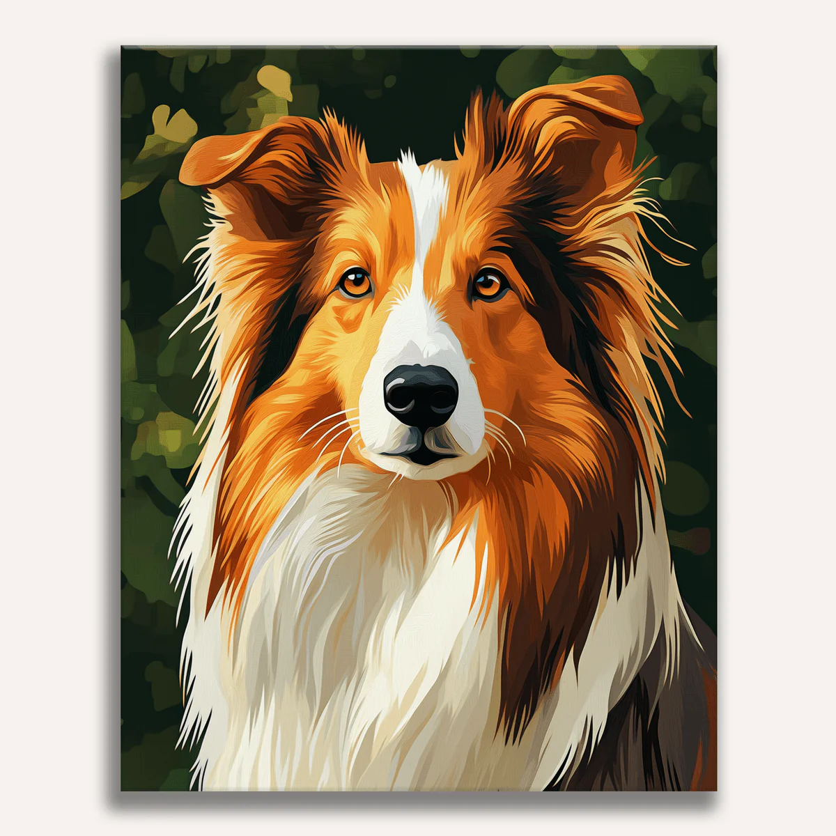 Collie Portrait