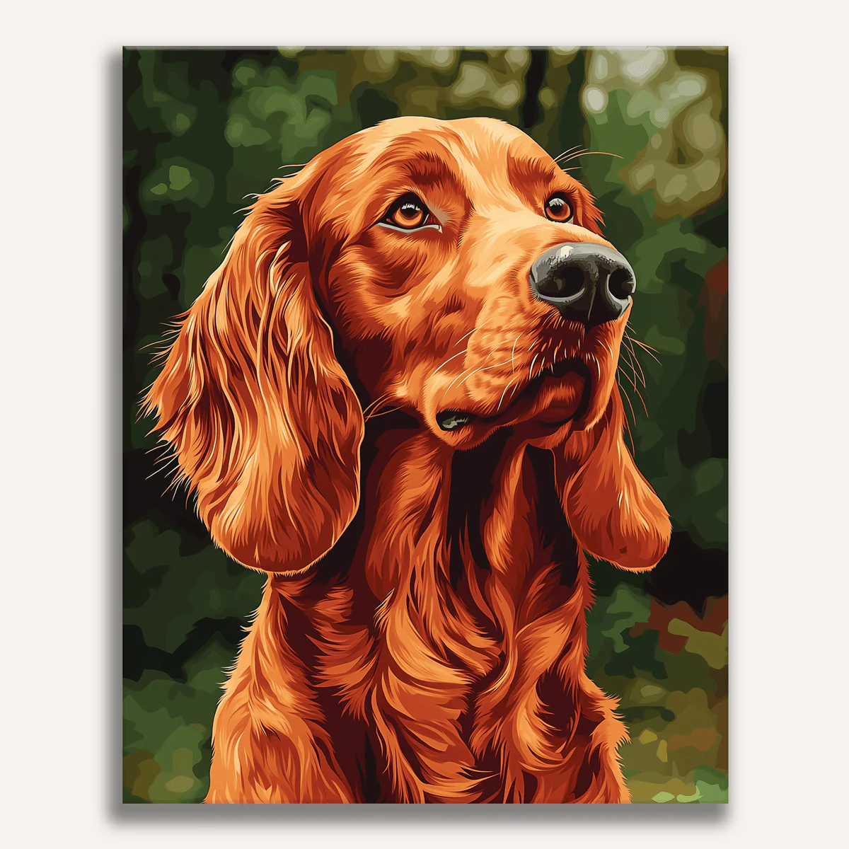 Irish Setter
