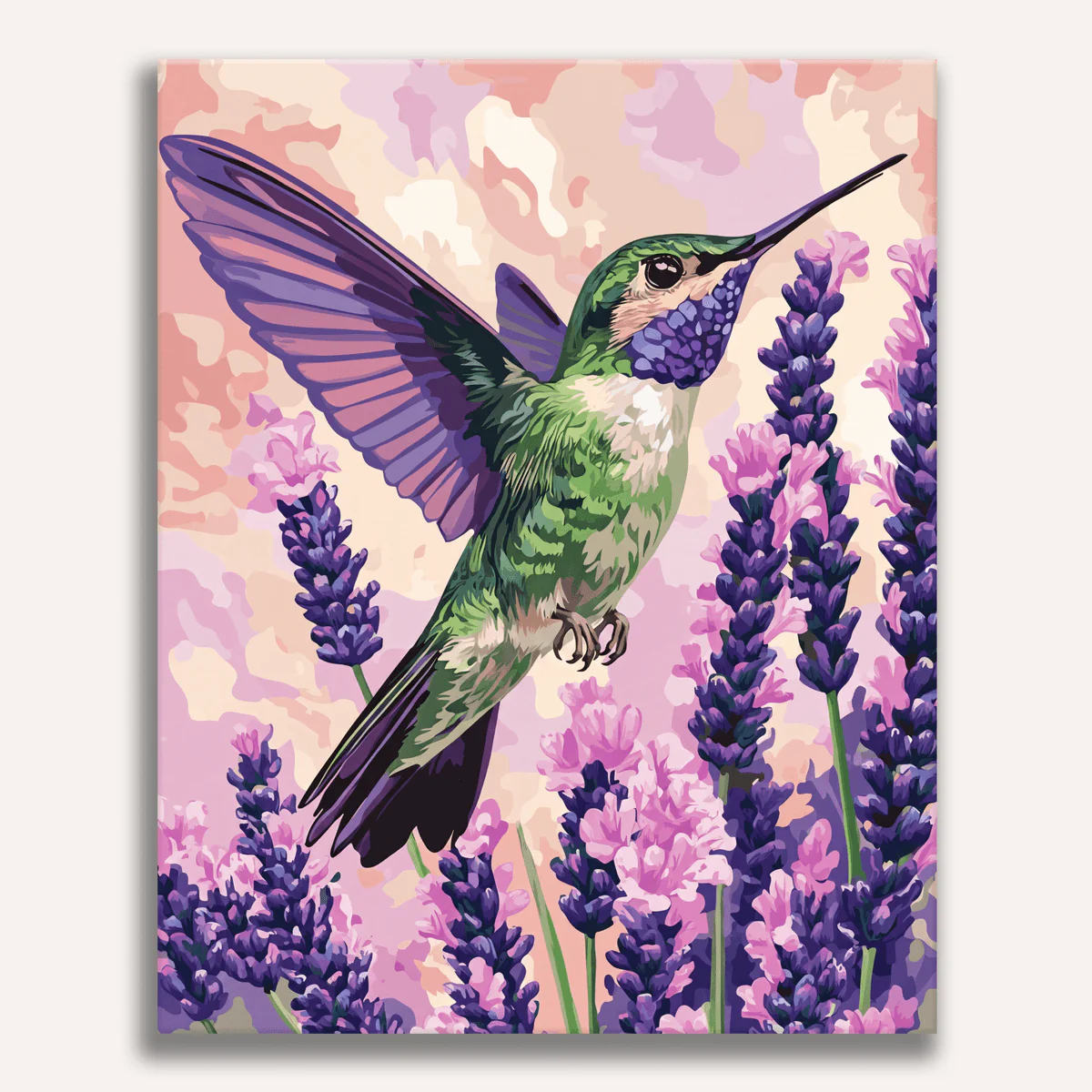Lavender Hummingbird