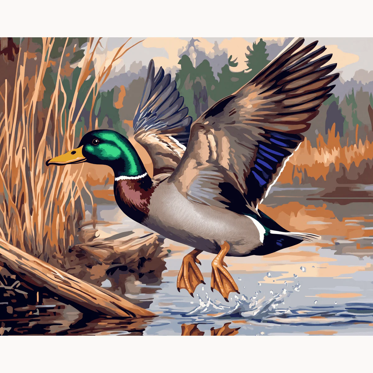 Mallard Duck Landing - Image 2
