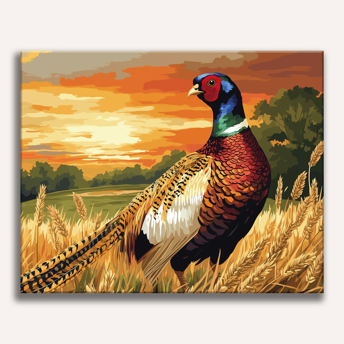 Pheasant Fields