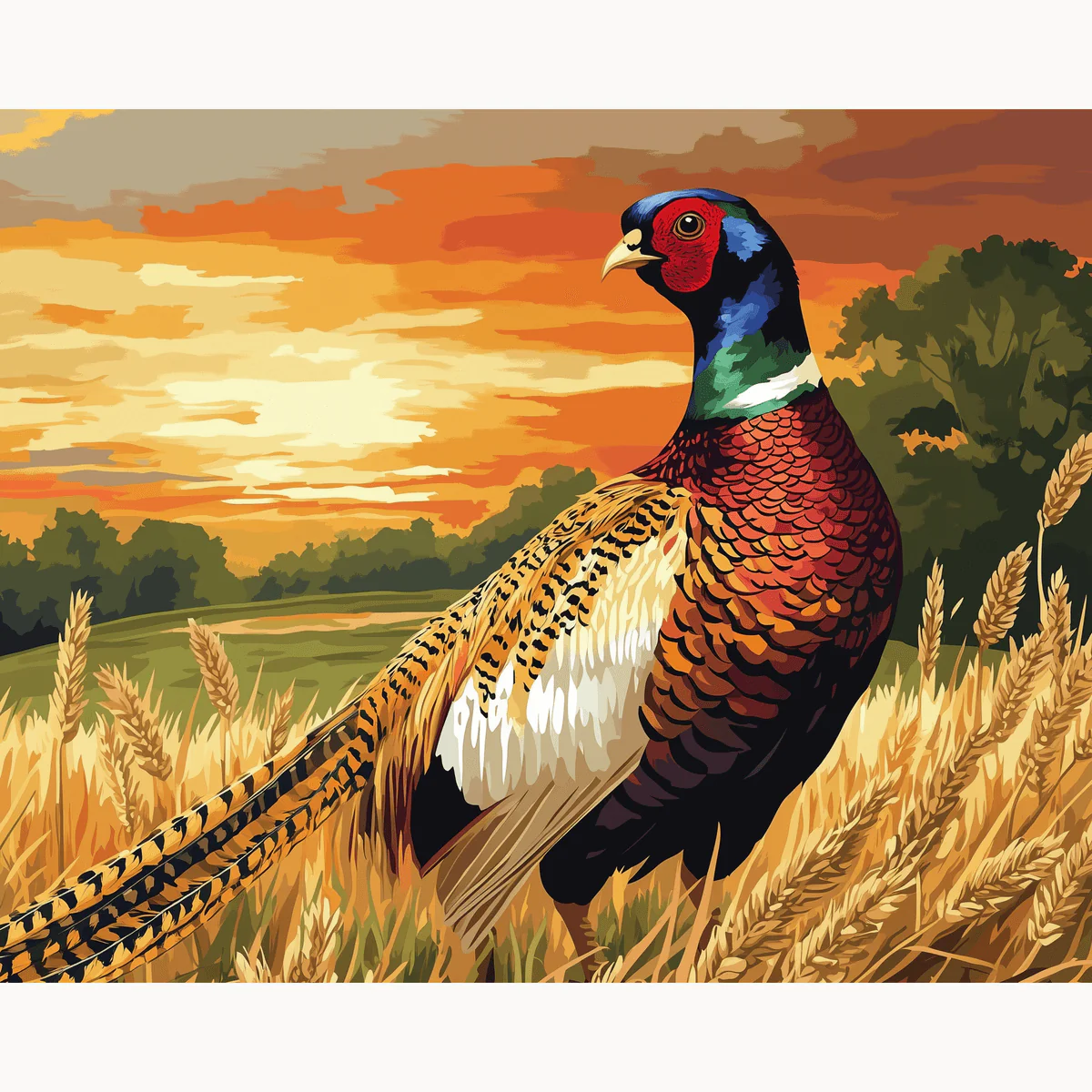 Pheasant Fields - Image 2