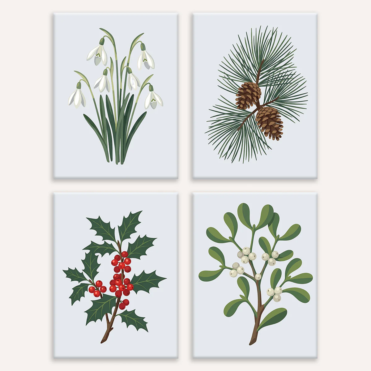 Winter Greens | 4 Mini Kits
