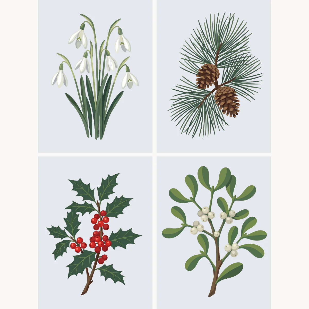 Winter Greens | 4 Mini Kits - Image 2